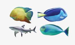 四款卡通可爱深海鱼素材