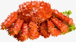 海鲜蟹肉帝王蟹蟹肉海鲜高清图片