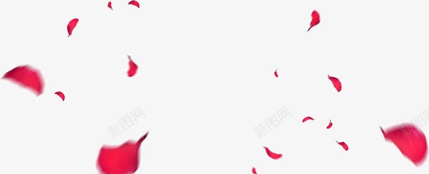手绘合成红色的玫瑰花飘起来的png免抠素材_新图网 https://ixintu.com 合成 玫瑰花 红色 起来