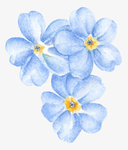手绘蓝色唯美花朵图素材