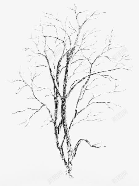 白雪覆盖的树木png免抠素材_新图网 https://ixintu.com 下雪 树木 白雪 覆盖
