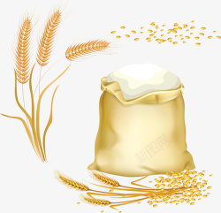 金色小麦磨成的面粉素材