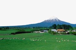 塔拉纳基山塔拉纳基山景区高清图片