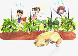 摘茄子水彩插画农地种菜高清图片