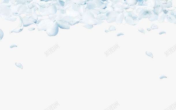 白色花卉背景png免抠素材_新图网 https://ixintu.com 淡雅背景 白色花瓣 花卉背景 花瓣