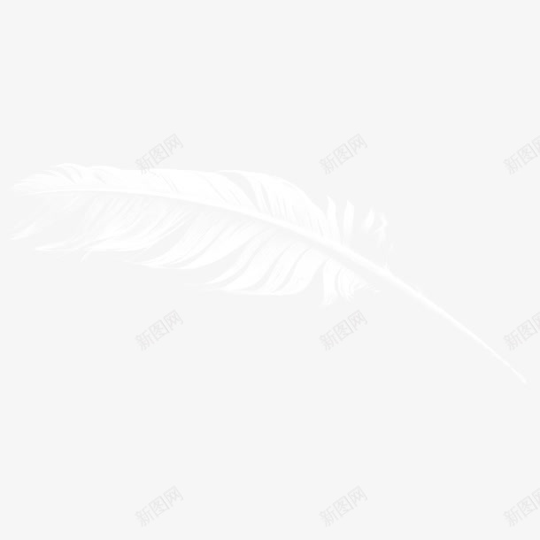 一根羽毛png免抠素材_新图网 https://ixintu.com png图形 png装饰 手绘 白色 羽毛 装饰