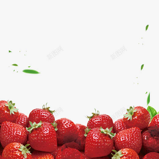 红色新鲜草莓树叶装饰psd免抠素材_新图网 https://ixintu.com 免抠草莓 堆积的草莓 新鲜 树叶装饰 红色 草莓