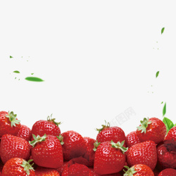 堆积的草莓红色新鲜草莓树叶装饰高清图片