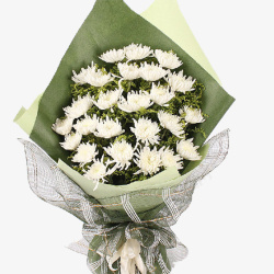 身心愉悦白色菊花花束高清图片