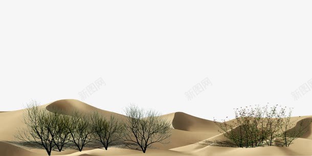 沙漠枯草枯树png免抠素材_新图网 https://ixintu.com 保护 干涸 枯草 沙漠枯树