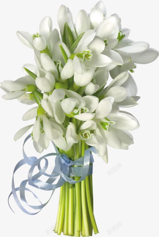 白色花朵一簇白花png免抠素材_新图网 https://ixintu.com 白色 白花 花朵