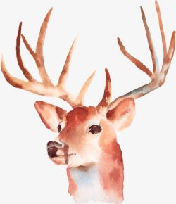 矢量画水粉画手绘鹿头高清图片