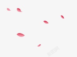 粉色的点缀粉色花瓣微微点缀高清图片