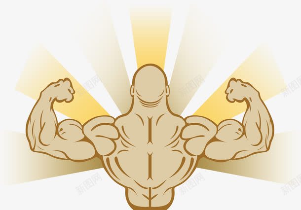 肌肉背影图标png_新图网 https://ixintu.com 健身 健身房Logo 光芒 卡通 黄色