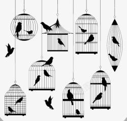 鸟笼和鸟8款鸟笼与鸟剪影高清图片