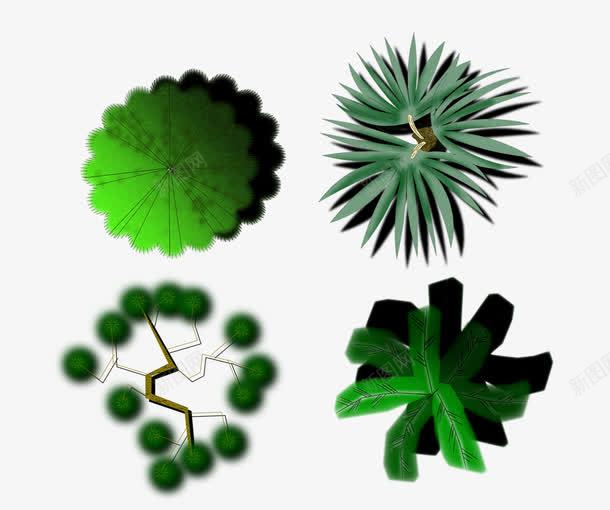 植物平面图png免抠素材_新图网 https://ixintu.com 平面图 植物 绿植 装饰