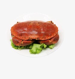 冷冻生鲜英国熟冻面包蟹高清图片
