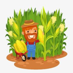 在玉米田里收玉米的农民卡通形象素材