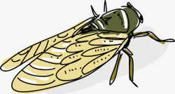 昆虫种类翅膀手绘风格彩色蝉高清图片
