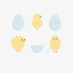 破壳鸡蛋卡通可爱动物雏鸡矢量图高清图片