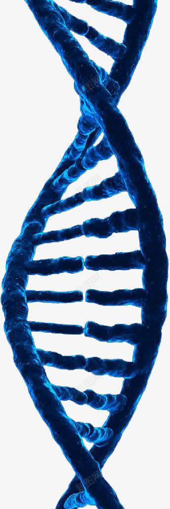 DNApng免抠素材_新图网 https://ixintu.com DNA双螺旋结构图片 dna 医学 医药 素材