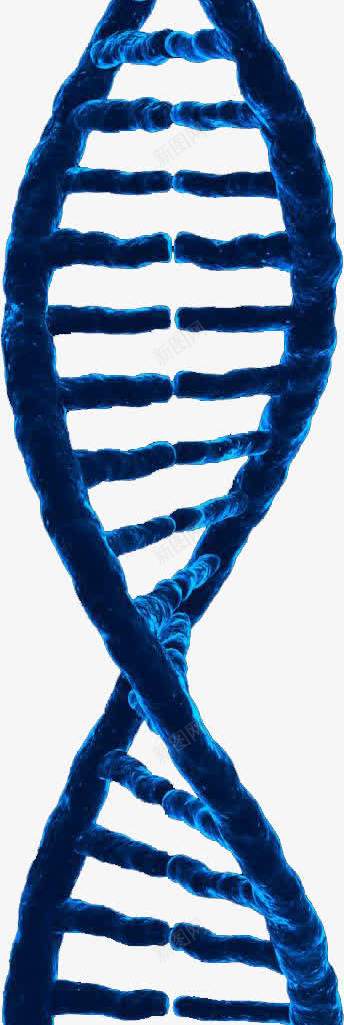 DNApng免抠素材_新图网 https://ixintu.com DNA双螺旋结构图片 dna 医学 医药 素材