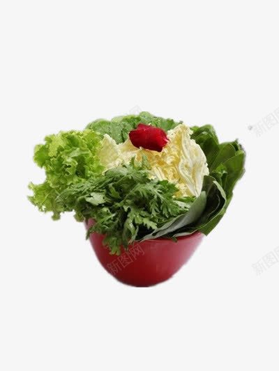 蔬菜拼盘png免抠素材_新图网 https://ixintu.com 火锅 蔬菜 青菜 食材