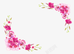 蝴蝶兰角边设计手绘粉色蝴蝶兰花草角边高清图片