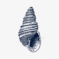 旋螺手绘黑色海螺装饰图高清图片