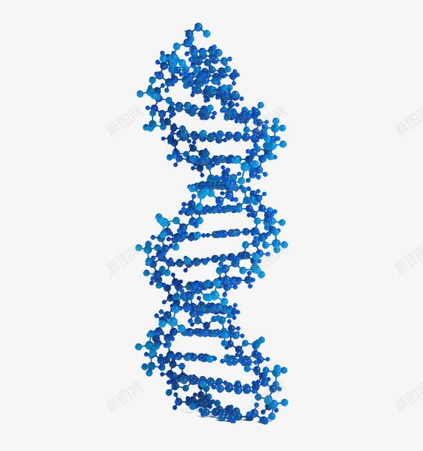 蓝色圆点DNApng免抠素材_新图网 https://ixintu.com DNA 分子 圆点 生物 蓝色