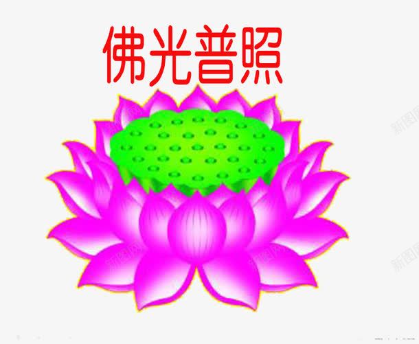 莲花都是美好png免抠素材_新图网 https://ixintu.com 佛光普照 善良 圣洁 大度的象征 宽容