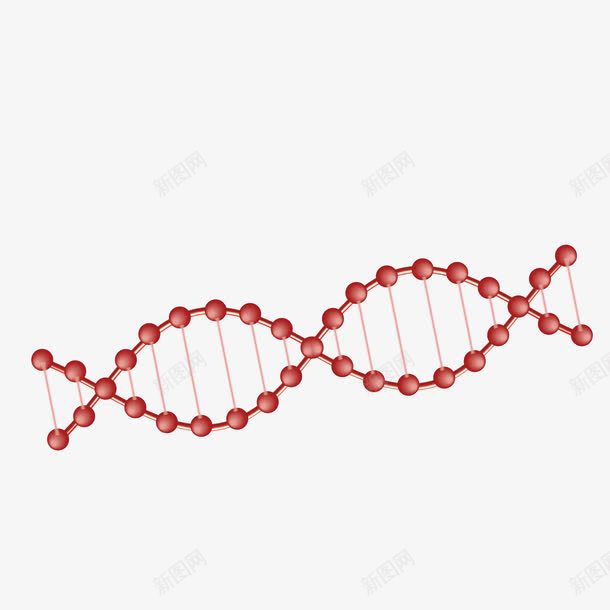 DNApng免抠素材_新图网 https://ixintu.com 基因 红色 装饰 遗传