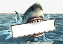 露出水面鲨鱼在水面的空白板鲨鱼高清图片