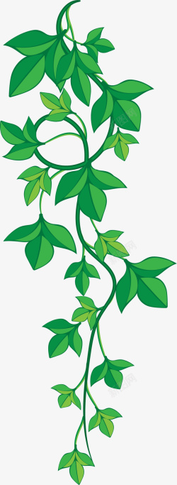 墨绿色植物墨绿色描边藤蔓高清图片