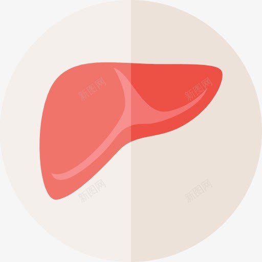 肝图标png_新图网 https://ixintu.com 医学 医疗保健和医疗 器官 肝脏 解剖学 身体部位