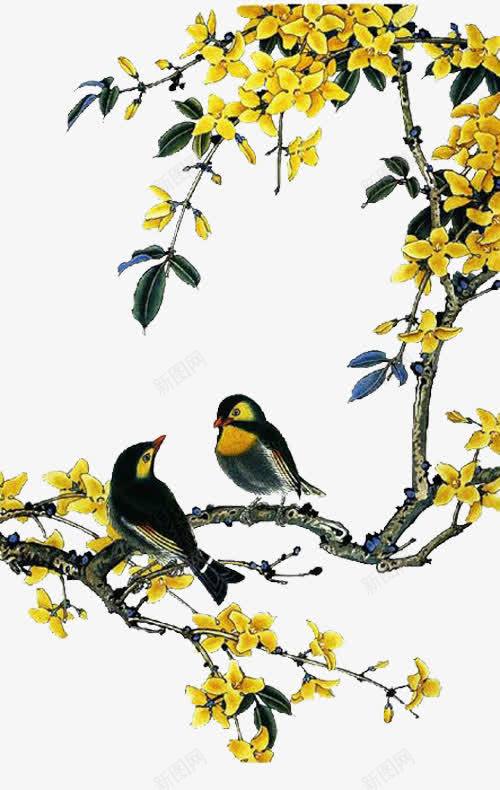 站在树上的两只鸟png免抠素材_新图网 https://ixintu.com 小鸟 绿叶 花朵 黄色 黄花黄鸟免费下载