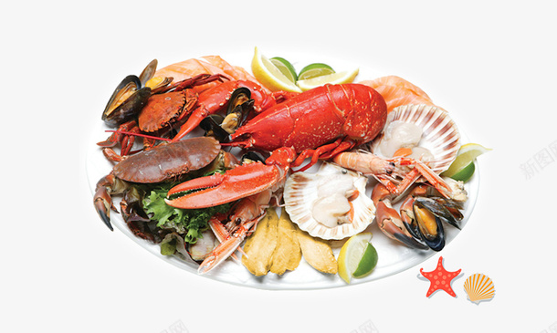 白色盘子里的海鲜png免抠素材_新图网 https://ixintu.com 扇贝 海星 白色 盘子里的海鲜 蔬菜 龙虾