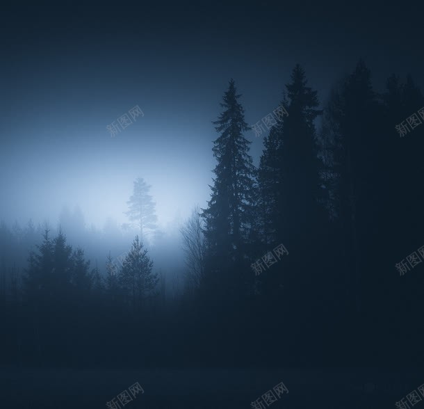 夜下的迷雾松树林海报背景jpg设计背景_新图网 https://ixintu.com 松树 海报 背景 迷雾