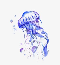 紫色的水母紫色海洋水母高清图片