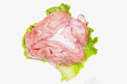 猪脑粉粉的新鲜美味猪脑花高清图片