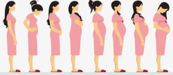 出生的小宝宝怀胎十月矢量图高清图片
