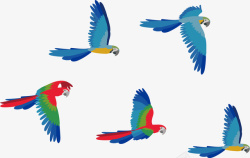 飞行的鹦鹉空中飞舞的蓝色鹦鹉矢量图高清图片