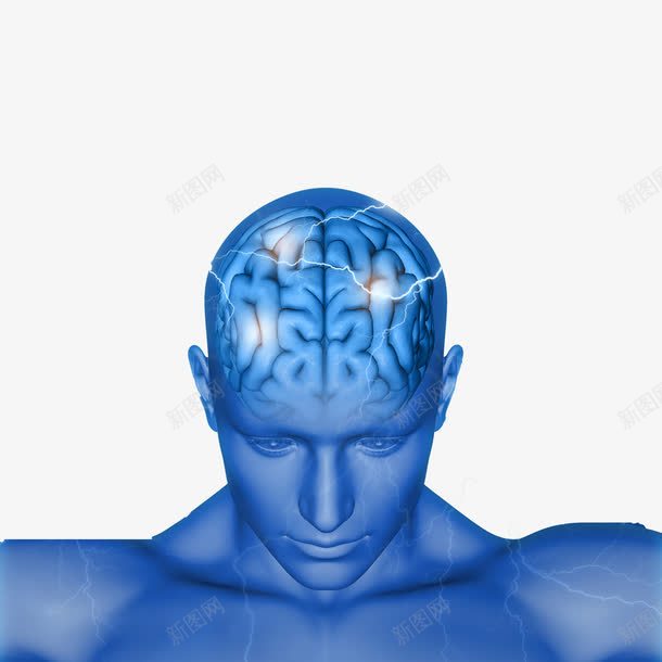 男性身体png免抠素材_新图网 https://ixintu.com 大脑 思维 脑部 蓝色