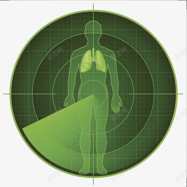 人体医疗检查png免抠素材_新图网 https://ixintu.com 人体 器官 检查 雷达扫描