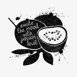 不带叶子的百香果手绘百香果黑白高清图片