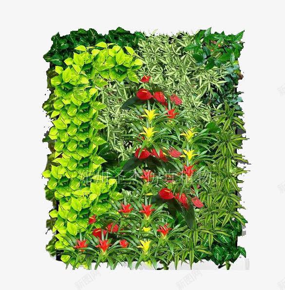 红星闪闪绿色植物墙png免抠素材_新图网 https://ixintu.com 减少噪声 十分美观 和空气的污染 绿植墙 而且能