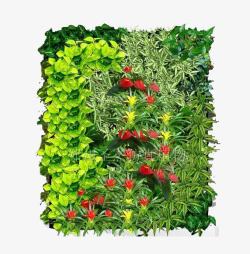 绿色植物背景墙红星闪闪绿色植物墙高清图片