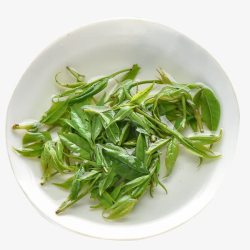 茶叶芽嫩绿的茶叶米芽高清图片
