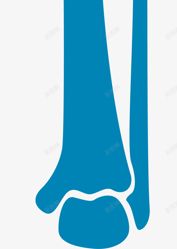 蓝色连接处关节骨骼png免抠素材_新图网 https://ixintu.com 人体 人类的骨头 人类骨骼 蓝色 连接处骨骼 骨骼