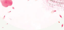 日本护肤淘宝日本风化妆品海报背景高清图片